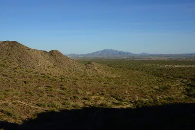 DSC_1848 (Large).JPG